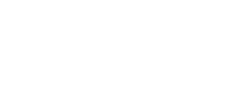 Ankafiz logosu